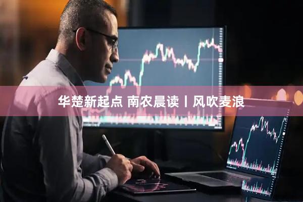 华楚新起点 南农晨读丨风吹麦浪