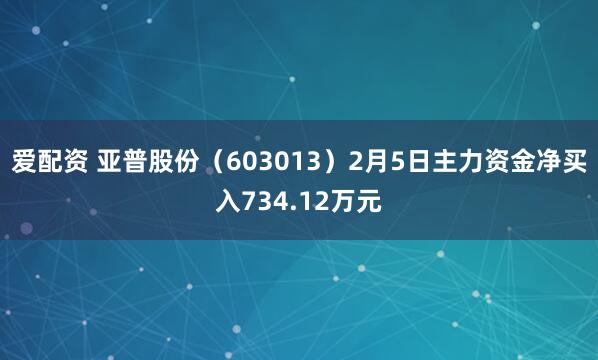 爱配资 亚普股份（603013）2月5日主力资金净买入734.12万元